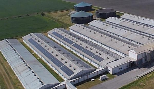 Farma Sokolovac opet u funkciji