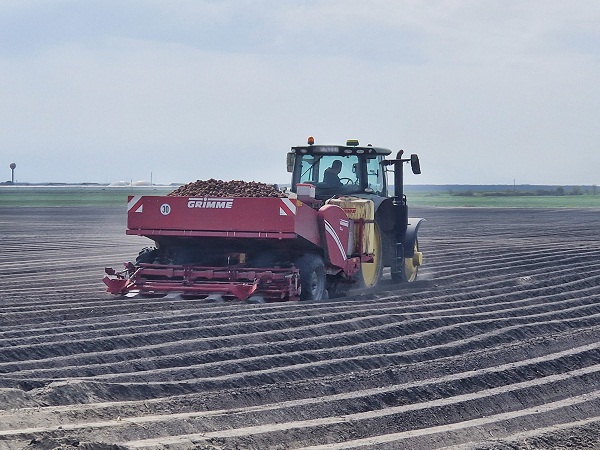 Podravka Agri sadnja krumpira 1