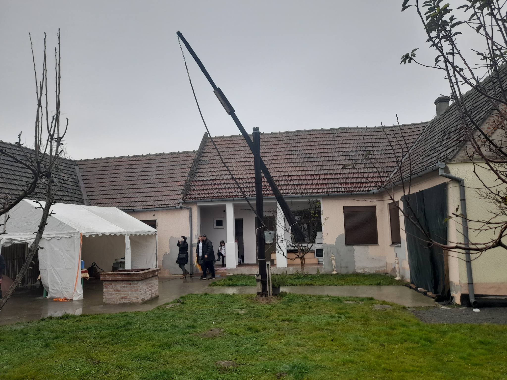 beketinci686