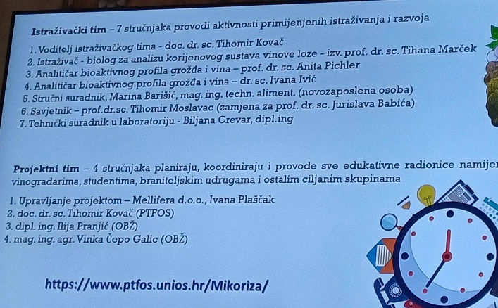 mikoriza1