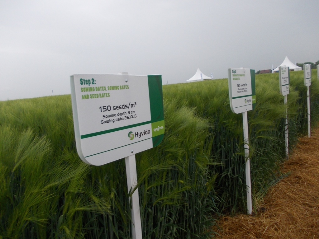 syngenta jecam klisa22